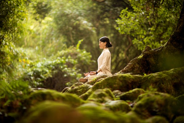 Femme assise en tailleur en pleine forêt en pleine séance de méditation